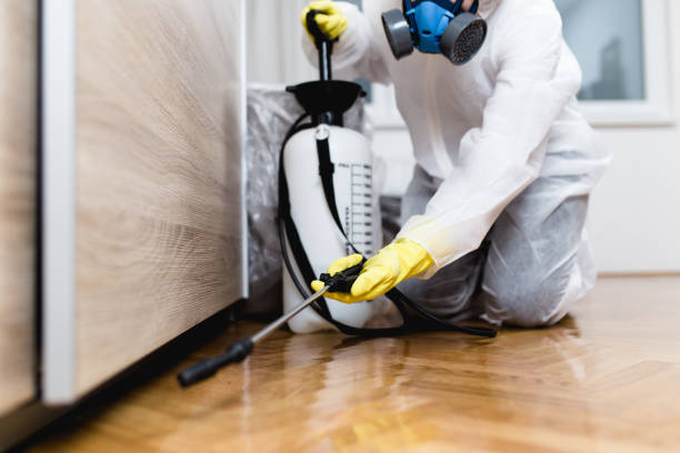 Best Mosquito Control Services  in Rkville, PA