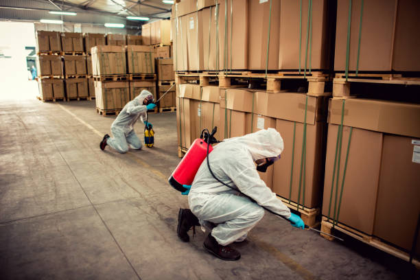 Best Local Pest Control Services  in Rkville, PA