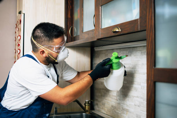  Rkville, PA Pest Control Pros