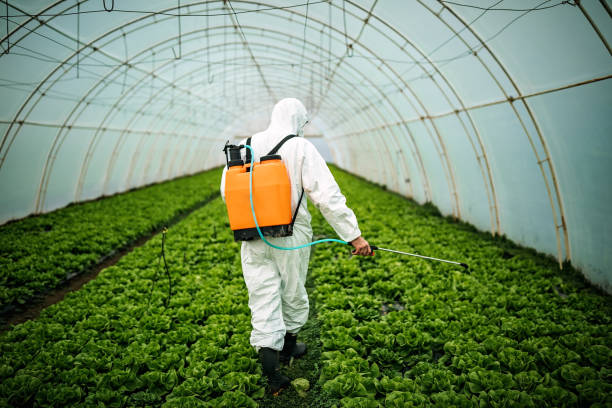 Best Affordable Pest Control Services  in Rkville, PA