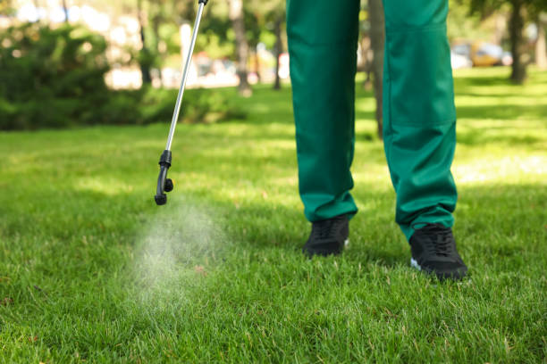 Best Emergency Pest Control  in Rkville, PA
