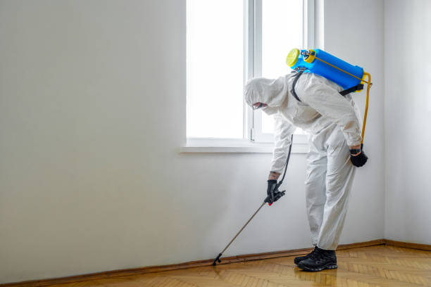 Best Termite Control Services  in Rkville, PA