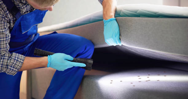 Best Wasp Removal Services  in Rkville, PA