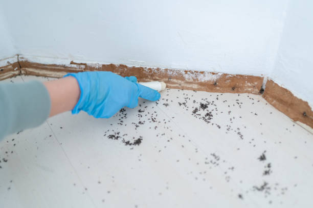 Best Pest Removal Services  in Rkville, PA